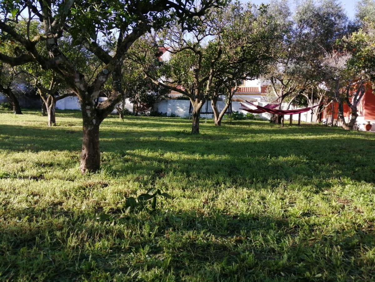 Casa Das Laranjeiras E Parque Infantil アゼイタオン エクステリア 写真